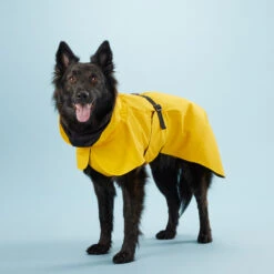 PAIKKA Visibility Raincoat Lite Yellow 10 PAIKKA Visibility Raincoat Lite Yellow -Hondenbenodigdheden Winkel mW2Bw3791R8VnpD5P3PKMJkiXIFNZn metaUGFpa2thLVZpc2liaWxpdHktUmFpbmNvYXQtTGl0ZS1ZZWxsb3c0LmpwZw