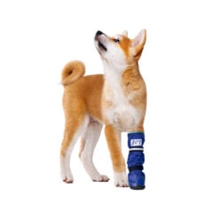 Medical Pet Shirt Boot 24 Medical Pet Shirt Boot -Hondenbenodigdheden Winkel medical pets boot 167479 1000 none