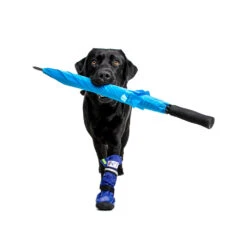 Medical Pet Shirt Boot 26 Medical Pet Shirt Boot -Hondenbenodigdheden Winkel medical pets boot 167482 1000 none