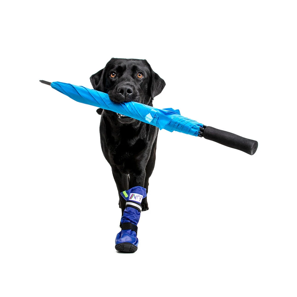 Medical Pet Shirt Boot 10 Medical Pet Shirt Boot - Afbeelding 10