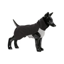 PAIKKA Recovery Winter Shirt -Hondenbenodigdheden Winkel paikka recovery winter shirt grey maat 50 134528 2000 none