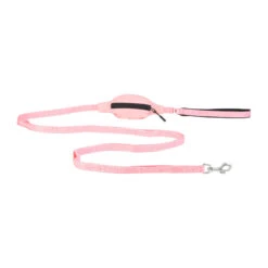 PAIKKA Visibility Leash -Hondenbenodigdheden Winkel paikka visibility leash 217821 2000 none
