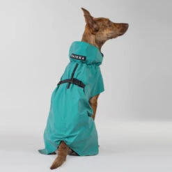 PAIKKA Visibility Raincoat Emerald 31 PAIKKA Visibility Raincoat Emerald -Hondenbenodigdheden Winkel paikka visibility raincoat emerald 222164 2000 none