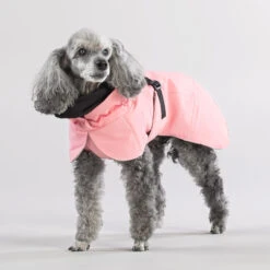 PAIKKA Visibility Winter Jacket -Hondenbenodigdheden Winkel paikka visibility winter jacket 217799 2000 none