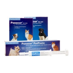 Panacur - Hond & Kat -Hondenbenodigdheden Winkel panacur hond en kat 88405 1000 none