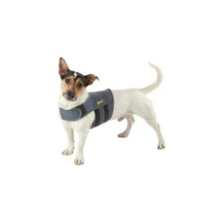 Petlife KarmaWrap Hond -Hondenbenodigdheden Winkel petlife karmawrap hond 154189 1000 none