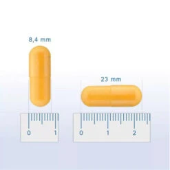 Pharmox Hond & Kat Groenlipmossel -Hondenbenodigdheden Winkel pharmox hond kat groenlipmossel 218962 0500 none