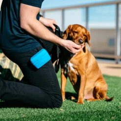 Popware Pooch Pouch Treatbag 11 Popware Pooch Pouch Treatbag -Hondenbenodigdheden Winkel popware pooch pouch treatbag 164698 2000 none