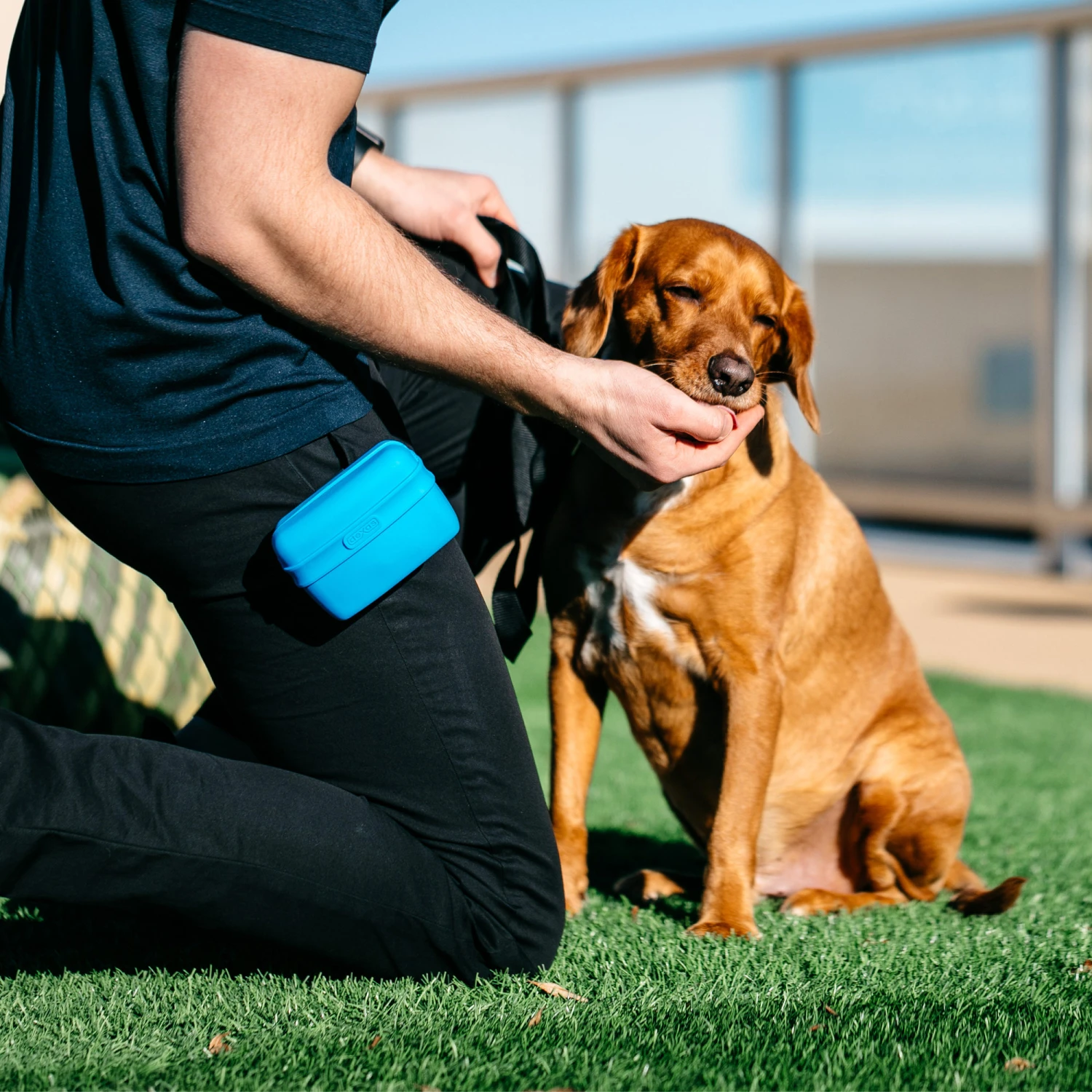 Popware Pooch Pouch Treatbag 6 Popware Pooch Pouch Treatbag - Afbeelding 6