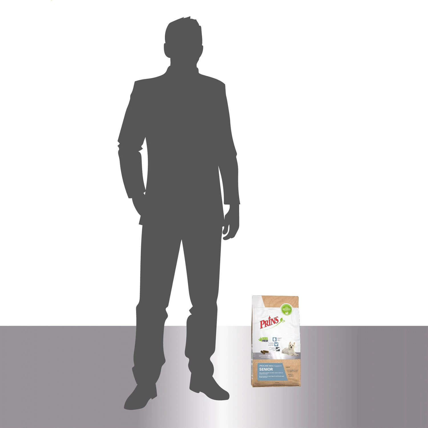 Prins ProCare Mini Senior Support 7 Prins ProCare Mini Senior Support - Afbeelding 7