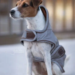 Kentucky Dog Coat Reflective & Waterrepellent -Hondenbenodigdheden Winkel prod 15746 219013 0500 none