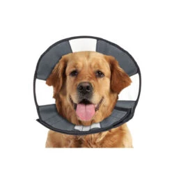 ZenPet Zen Collar -Hondenbenodigdheden Winkel prod 5332 89025 0500 none