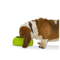 Buster Incredibowl -Hondenbenodigdheden Winkel product buster incredibowl none 4 1479720007 80827