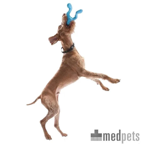 Zogoflex Tizzi - Dog Toy - Afbeelding 3
