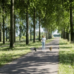 Rebel Petz Verstelbare Duo Riem -Hondenbenodigdheden Winkel rebel petz verstelbare duo riem 208532 2000 none