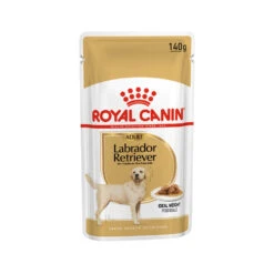 Royal Canin Labrador Retriever Adult Wet 10 Royal Canin Labrador Retriever Adult Wet -Hondenbenodigdheden Winkel royal canin bhn labrador retriever adult wet 160823 1000 none
