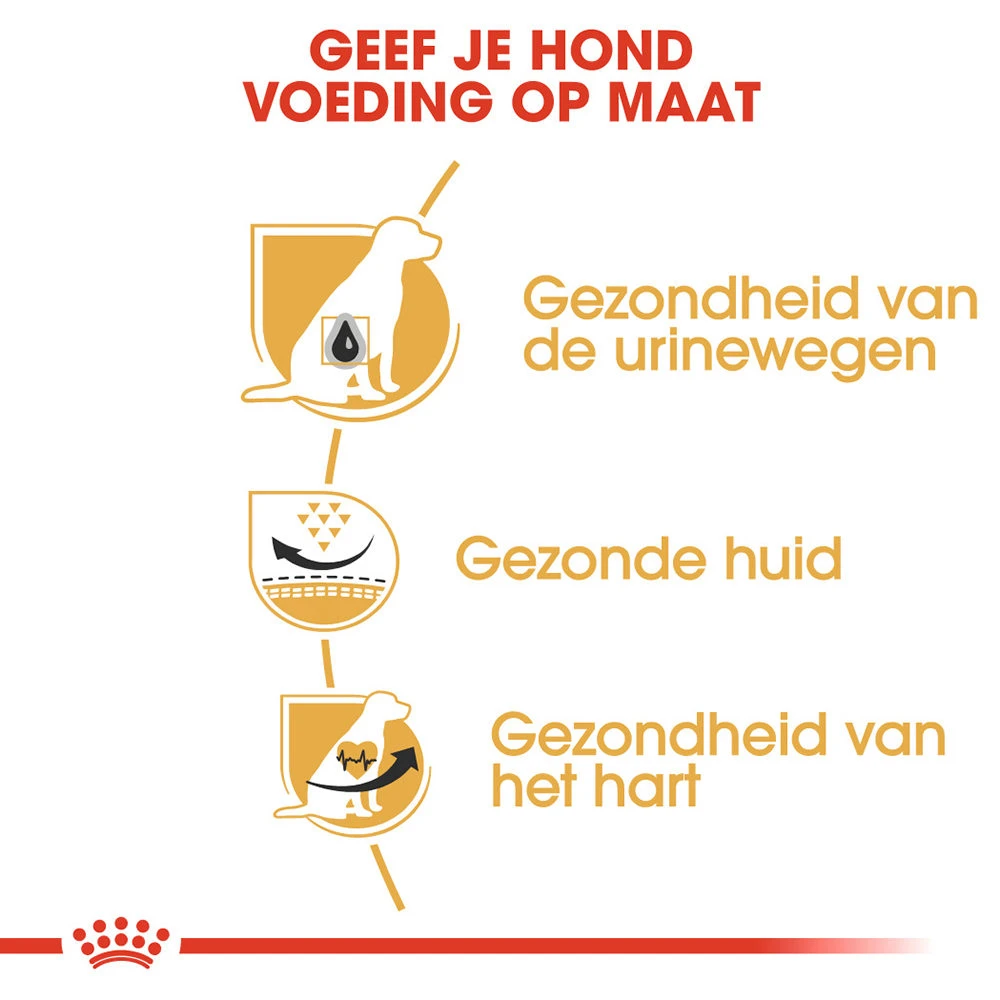 Royal Canin Dalmatian Adult - Hondenvoer 3 Royal Canin Dalmatian Adult - Hondenvoer - Afbeelding 3