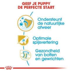 Royal Canin German Shepherd Puppy- Hondenvoer -Hondenbenodigdheden Winkel royal canin german shepherd puppy hondenvoer 138835 1000 none