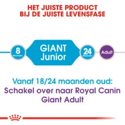Royal Canin Giant Junior - Hondenvoer -Hondenbenodigdheden Winkel royal canin giant junior 118203 2000 none