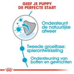Royal Canin Giant Junior - Hondenvoer -Hondenbenodigdheden Winkel royal canin giant junior 118228 2000 none