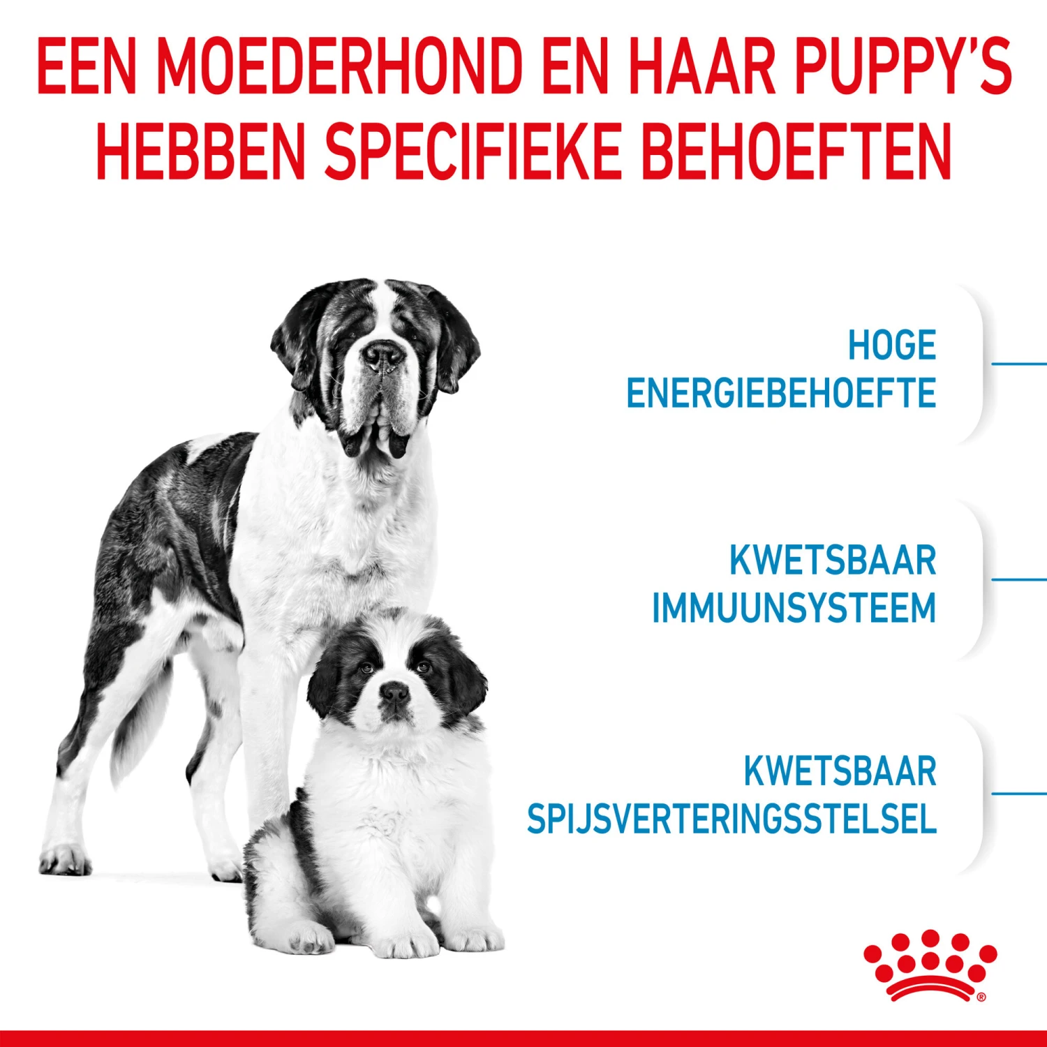 Royal Canin Giant Starter Mother & Babydog - Hondenvoer 4 Royal Canin Giant Starter Mother & Babydog - Hondenvoer - Afbeelding 4