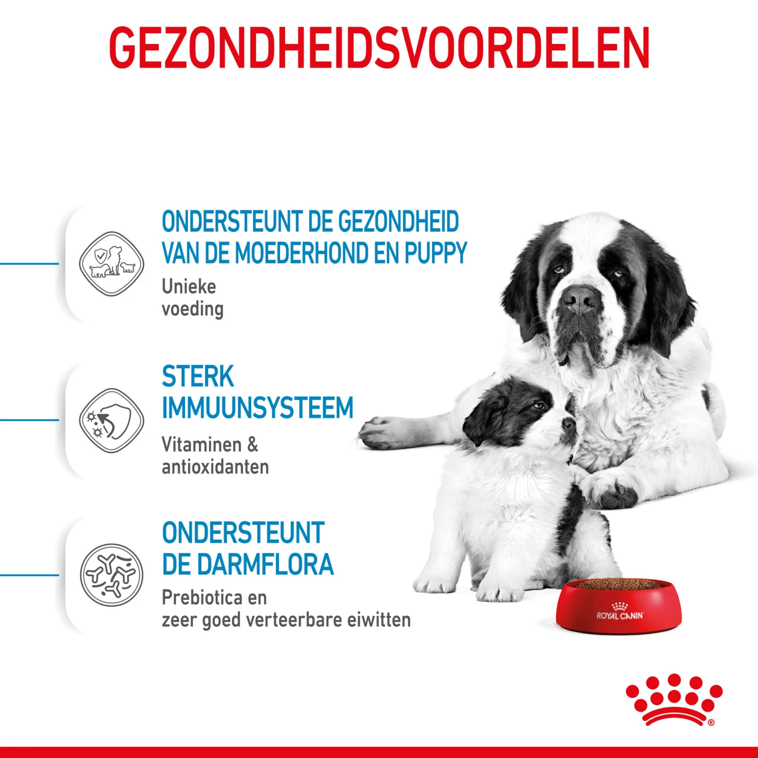 Royal Canin Giant Starter Mother & Babydog - Hondenvoer 5 Royal Canin Giant Starter Mother & Babydog - Hondenvoer - Afbeelding 5