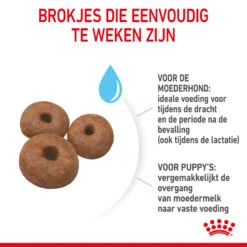 Royal Canin Giant Starter Mother & Babydog - Hondenvoer 15 Royal Canin Giant Starter Mother & Babydog - Hondenvoer -Hondenbenodigdheden Winkel royal canin giant starter mother babydog hondenvoer 206708 2000 none
