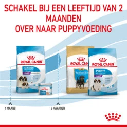 Royal Canin Giant Starter Mother & Babydog - Hondenvoer 16 Royal Canin Giant Starter Mother & Babydog - Hondenvoer -Hondenbenodigdheden Winkel royal canin giant starter mother babydog hondenvoer 206711 2000 none
