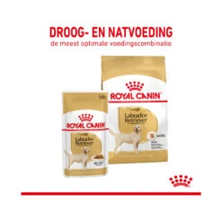 Royal Canin Labrador Retriever Adult Wet 13 Royal Canin Labrador Retriever Adult Wet -Hondenbenodigdheden Winkel royal canin labrador retriever adult wet 165763 2000 none