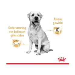 Royal Canin Labrador Retriever Adult Wet 11 Royal Canin Labrador Retriever Adult Wet -Hondenbenodigdheden Winkel royal canin labrador retriever adult wet 165781 2000 none