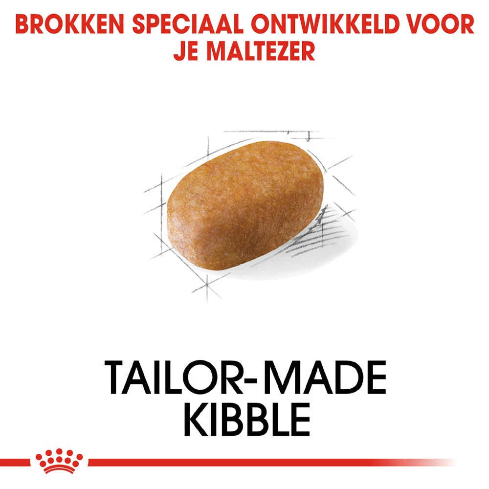 Royal Canin Maltese Adult - Hondenvoer 4 Royal Canin Maltese Adult - Hondenvoer - Afbeelding 4