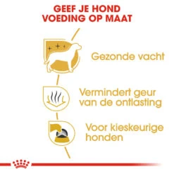 Royal Canin Maltese Adult - Hondenvoer 11 Royal Canin Maltese Adult - Hondenvoer -Hondenbenodigdheden Winkel royal canin maltese adult hondenvoer 139594 1000 none