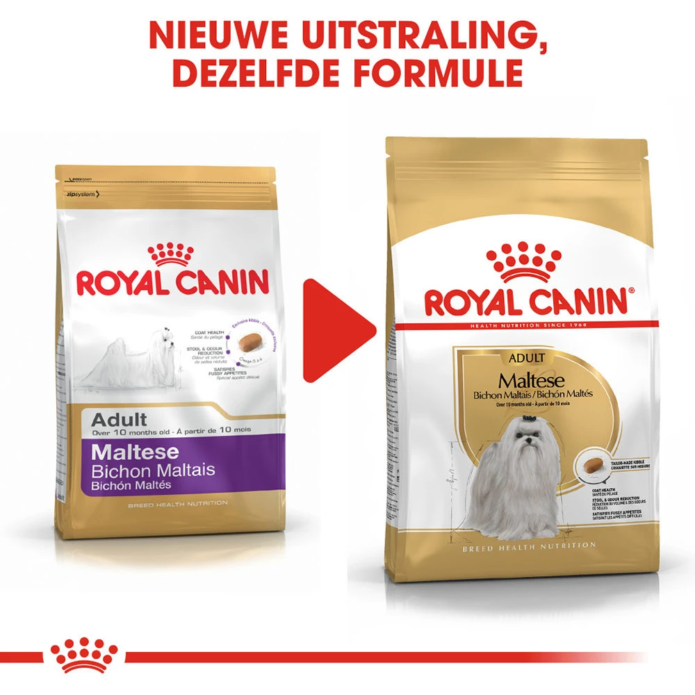 Royal Canin Maltese Adult - Hondenvoer 6 Royal Canin Maltese Adult - Hondenvoer - Afbeelding 6