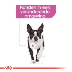 Royal Canin Relax Care Wet - Hondenvoer 13 Royal Canin Relax Care Wet - Hondenvoer -Hondenbenodigdheden Winkel royal canin relax care wet hondenvoer 131372 1000 none