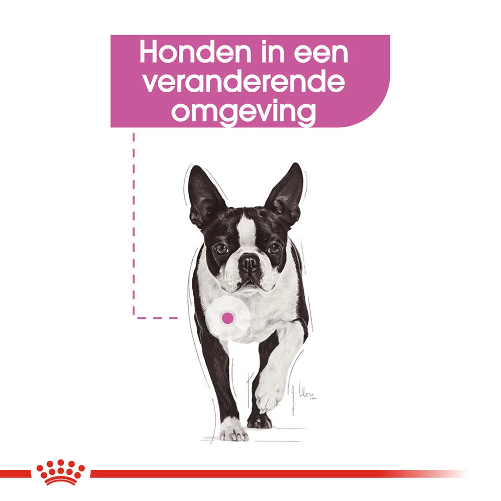 Royal Canin Relax Care Wet - Hondenvoer 4 Royal Canin Relax Care Wet - Hondenvoer - Afbeelding 4