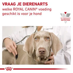 Royal Canin S/O Urinary Ageing 7+ Wet Hond -Hondenbenodigdheden Winkel royal canin so urinary ageing 7 wet hond 153385 1000 none