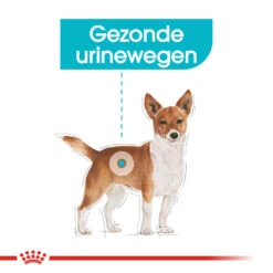 Royal Canin Urinary Care Wet - Hondenvoer 13 Royal Canin Urinary Care Wet - Hondenvoer -Hondenbenodigdheden Winkel royal canin urinary care wet hondenvoer 131930 1000 none