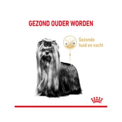 Royal Canin Yorkshire Terriër Adult 8+ -Hondenbenodigdheden Winkel royal canin yorkshire terrir adult 8 165205 2000 none
