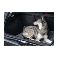 Royal Dry Doormat 16 Royal Dry Doormat -Hondenbenodigdheden Winkel royal dry doormat 187417 2000 none