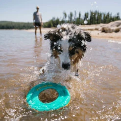 Ruffwear Hydro Plane Floating Throw Toy -Hondenbenodigdheden Winkel ruffwear hydro plane floating throw toy 200822 2000 none