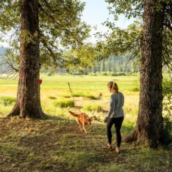 Ruffwear Knot-a-Hitch 12 Ruffwear Knot-a-Hitch -Hondenbenodigdheden Winkel ruffwear knot a hitch 124643 0500 none