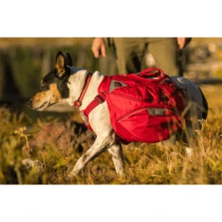 Ruffwear Palisades Pack -Hondenbenodigdheden Winkel ruffwear palisades pack 199577 0500 none