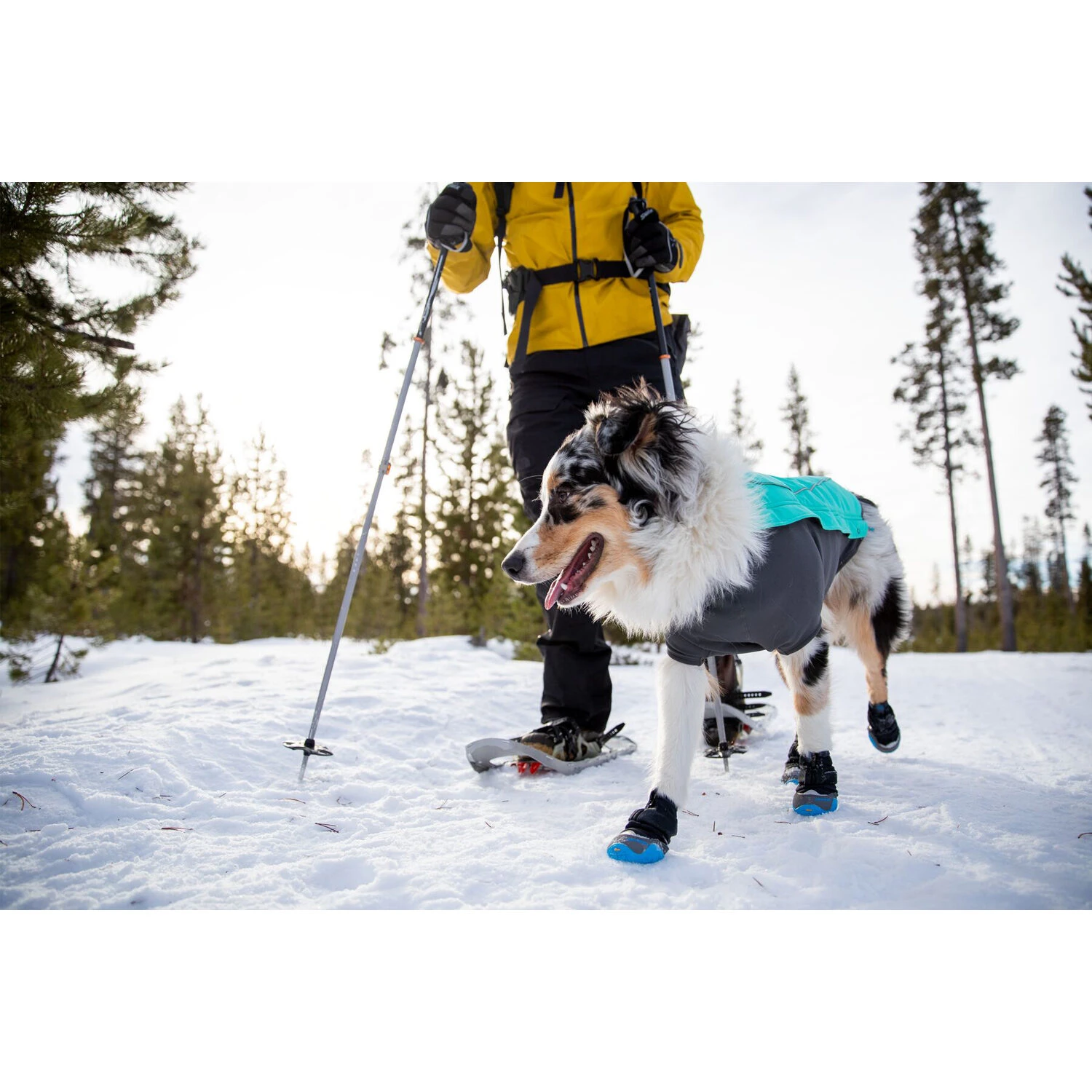 Ruffwear Polar Trex Hondenschoenen 11 Ruffwear Polar Trex Hondenschoenen - Afbeelding 11