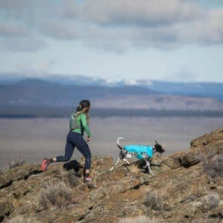 Ruffwear Wind Sprinter Jacket -Hondenbenodigdheden Winkel ruffwear wind sprinter jacket 124694 0500 none