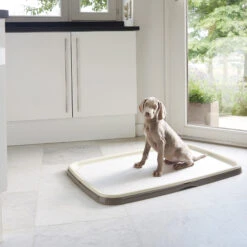 Savic Puppy Trainer + Pads -Hondenbenodigdheden Winkel savic puppy trainer pads 163498 2000 none