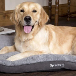 Boneguard Rawhide Bones -Hondenbenodigdheden Winkel scruffs cosy mattress 209363 1500 none