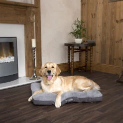 Boneguard Rawhide Bones -Hondenbenodigdheden Winkel scruffs cosy mattress 209366 1500 none