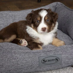 Scruffs Manhattan Box Bed -Hondenbenodigdheden Winkel scruffs manhattan box bed 209513 1500 none 1