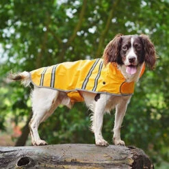 Sötnos Hondenregenjas -Hondenbenodigdheden Winkel stnos hondenregenjas 130475 0500 none