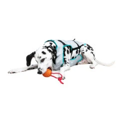 Suitical DRY Cooling Vest 19 Suitical DRY Cooling Vest -Hondenbenodigdheden Winkel suitical dry cooling vest 149882 2000 none